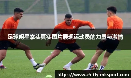 从脏话到游戏圣物！《辐射》玩家为何视其为文化图腾？